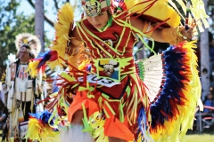 IMG_0662 (2)